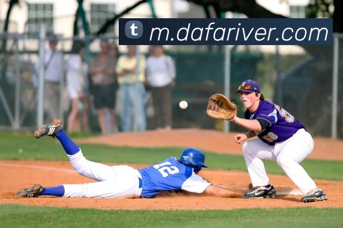 大发娱乐平台生态图